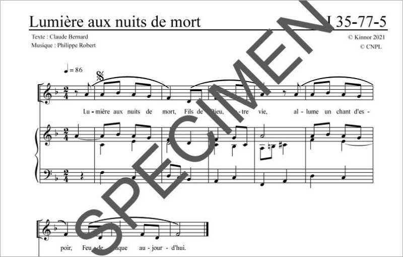 Lumière aux nuits de mort